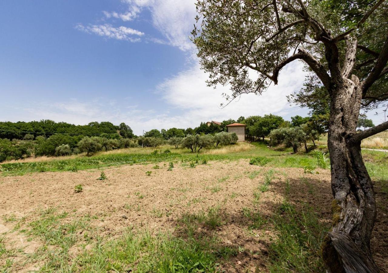 Agriturismo La Vammora Laviano Exterior foto