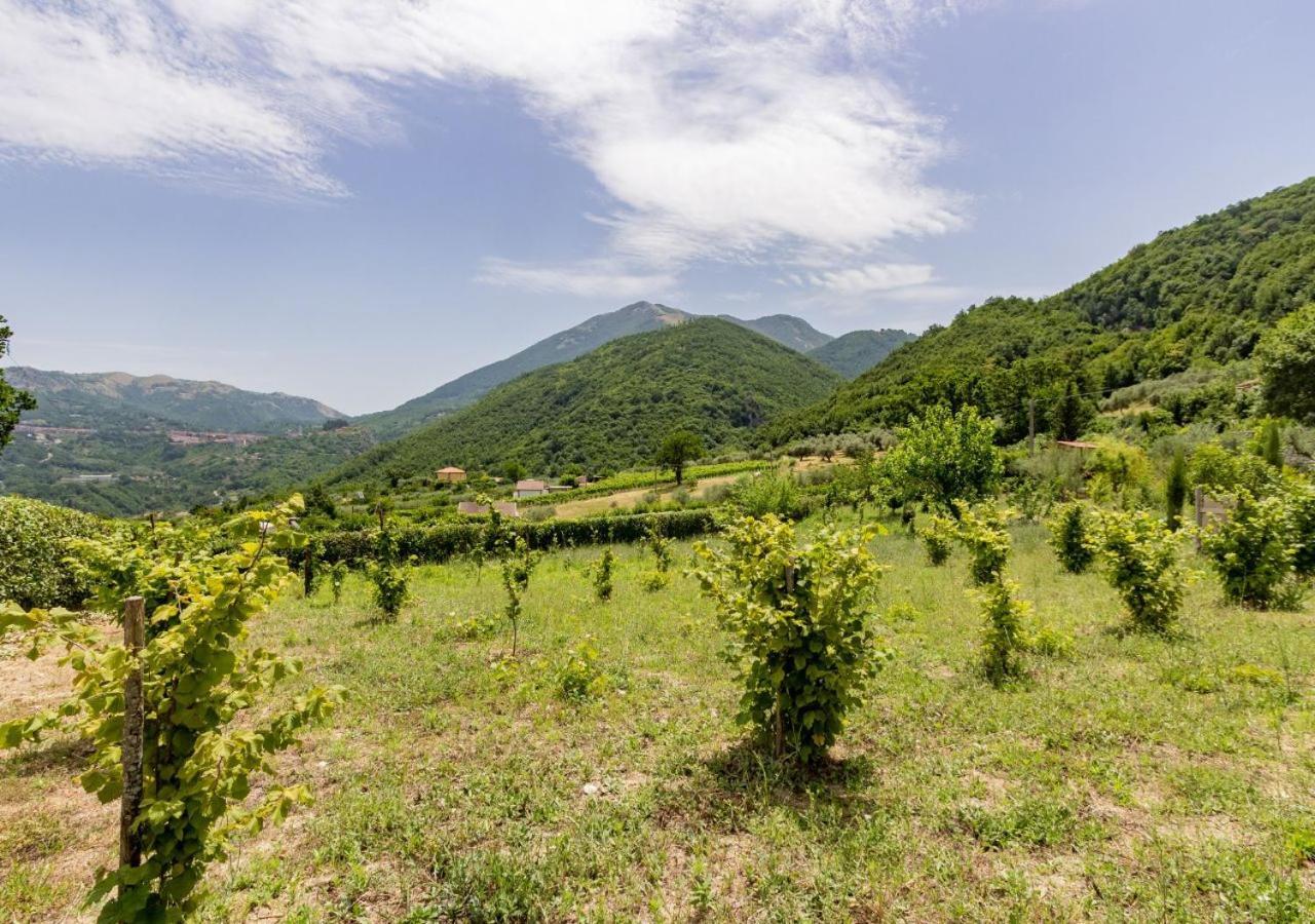 Agriturismo La Vammora Laviano Exterior foto
